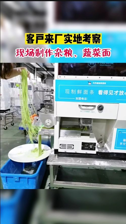 客戶來廠考察,現場試機菠菜面,替代人工做面,8秒做成鮮面條